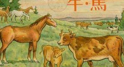 越南现行货币介绍<strong></p>
<p>货币现行价格</strong>，让人有种百万富翁的感觉