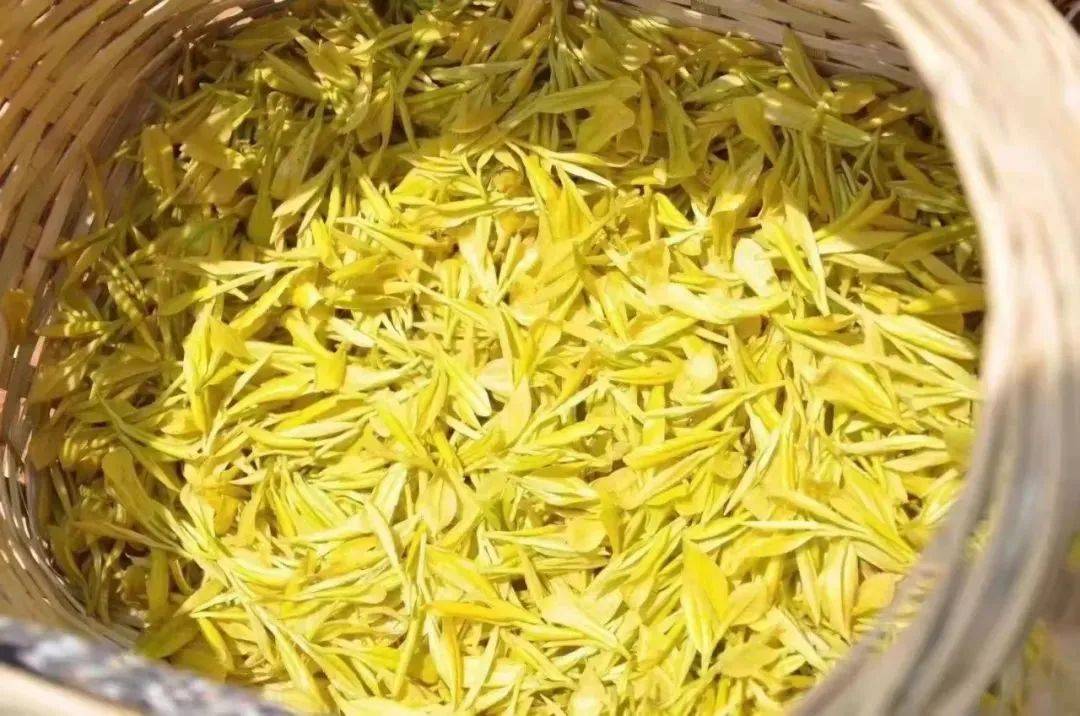 一写就错的8个带“茶”的成语<strong></p>
<p>带币的成语</strong>，你敢来挑战吗？