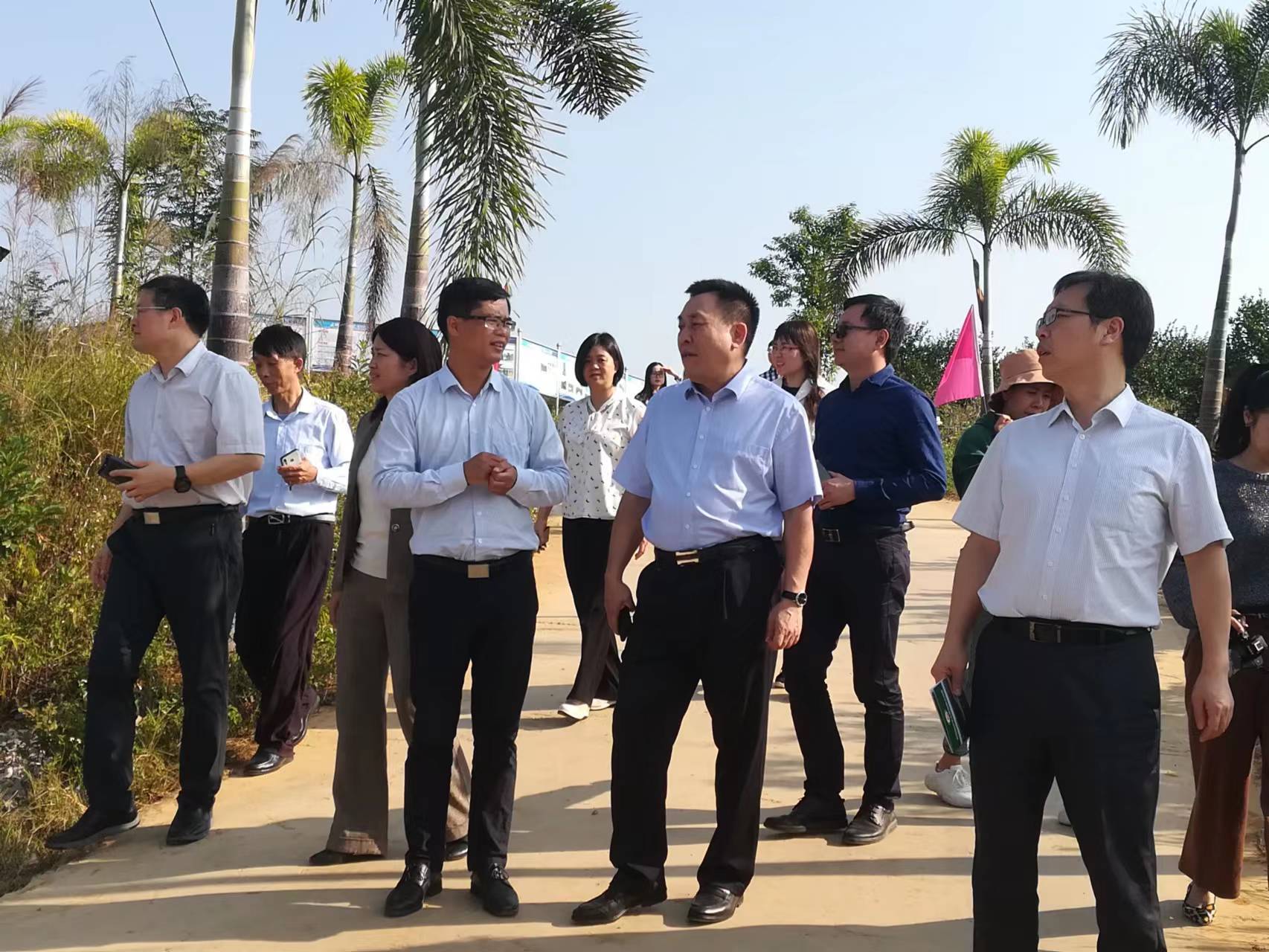 躬耕“沃”的精彩