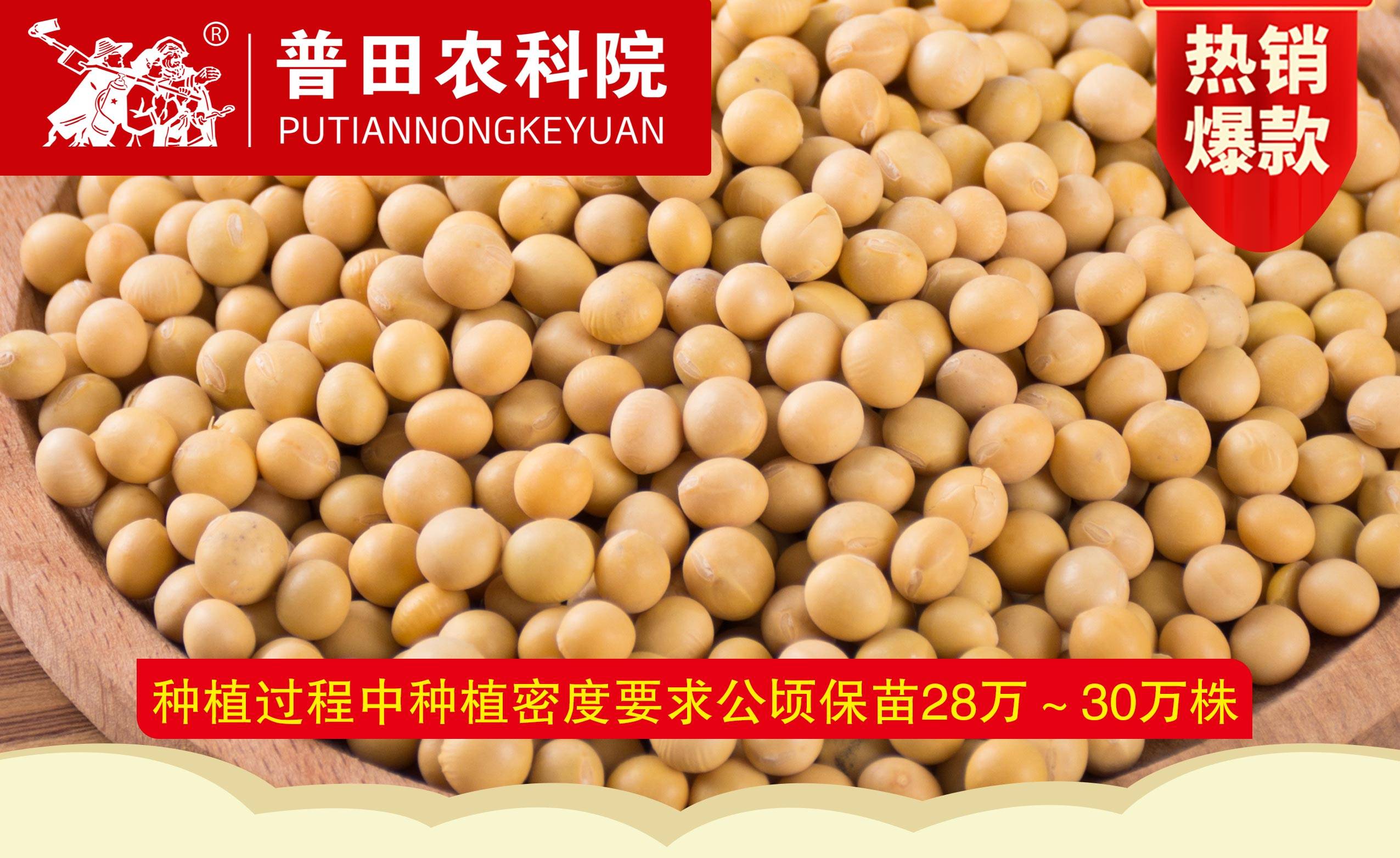 【沃豆5】最牛的大豆