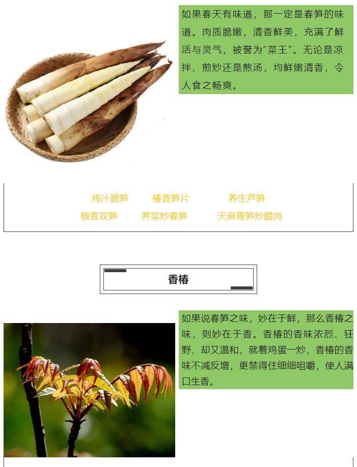 雅阁酒店集团|泰合卓凡雅阁酒店<strong></p>
<p>泰合币</strong>，夏季时令野菜上新