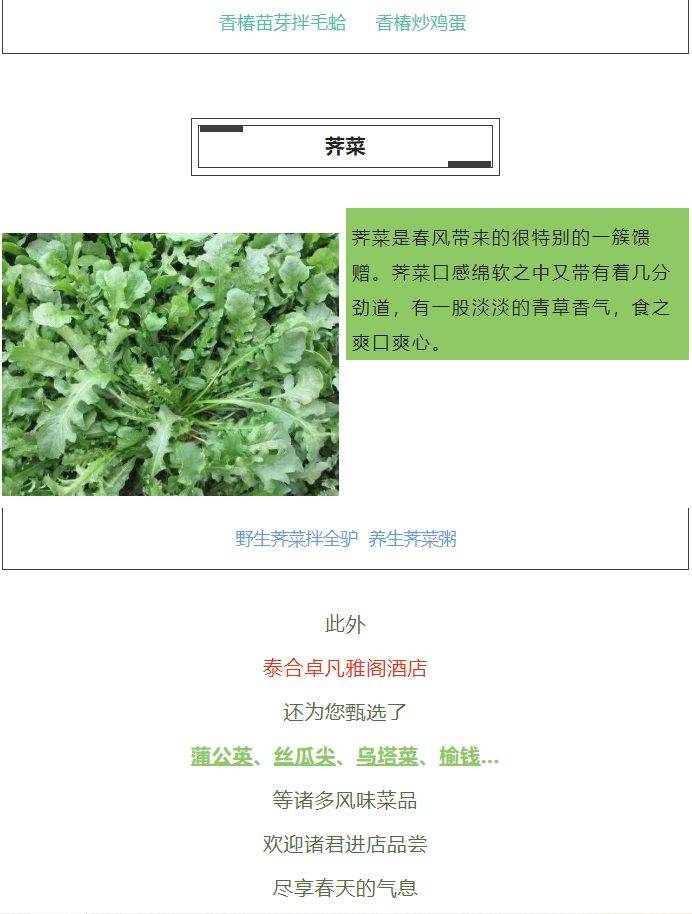 雅阁酒店集团|泰合卓凡雅阁酒店<strong></p>
<p>泰合币</strong>，夏季时令野菜上新