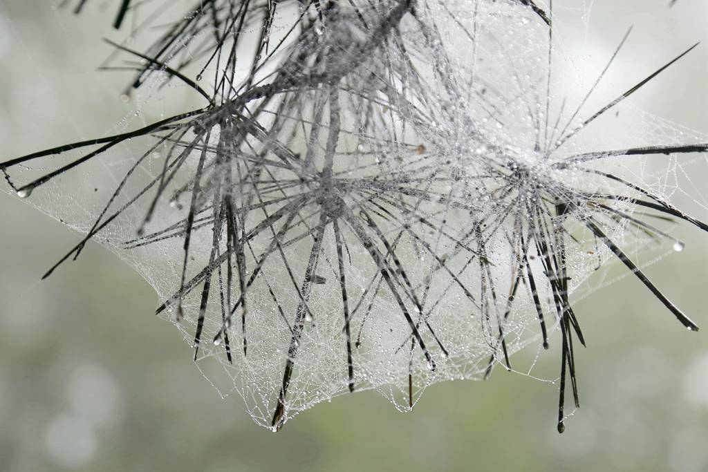 网呀网<strong></p>
<p>上币网</strong>，说不清的网