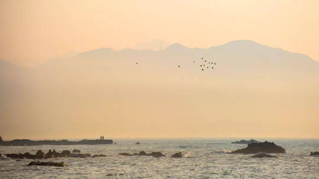 庄子三只鸟<strong></p>
<p>三鸟币</strong>，人生三种境界