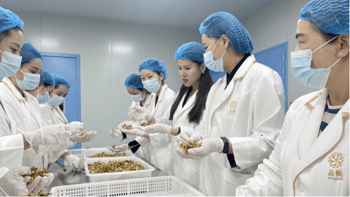 共同富裕｜新华网：用一朵花讲好泰顺彭溪镇的共富故事