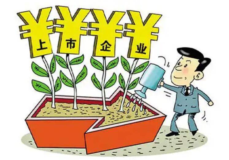 股份有限公司的上市条件有哪些条件<strong></p>
<p>上币条件</strong>？