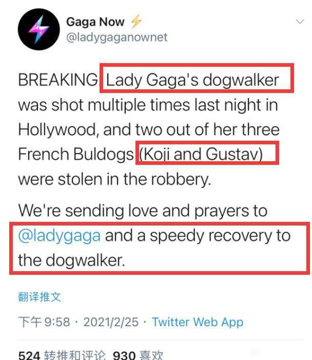ladygaga遛狗员遭枪击受重伤<strong></p>
<p>动利币兴币网</strong>，2只狗被偷走，她本人愿意300万网民币赎回