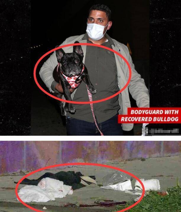 ladygaga遛狗员遭枪击受重伤<strong></p>
<p>动利币兴币网</strong>，2只狗被偷走，她本人愿意300万网民币赎回