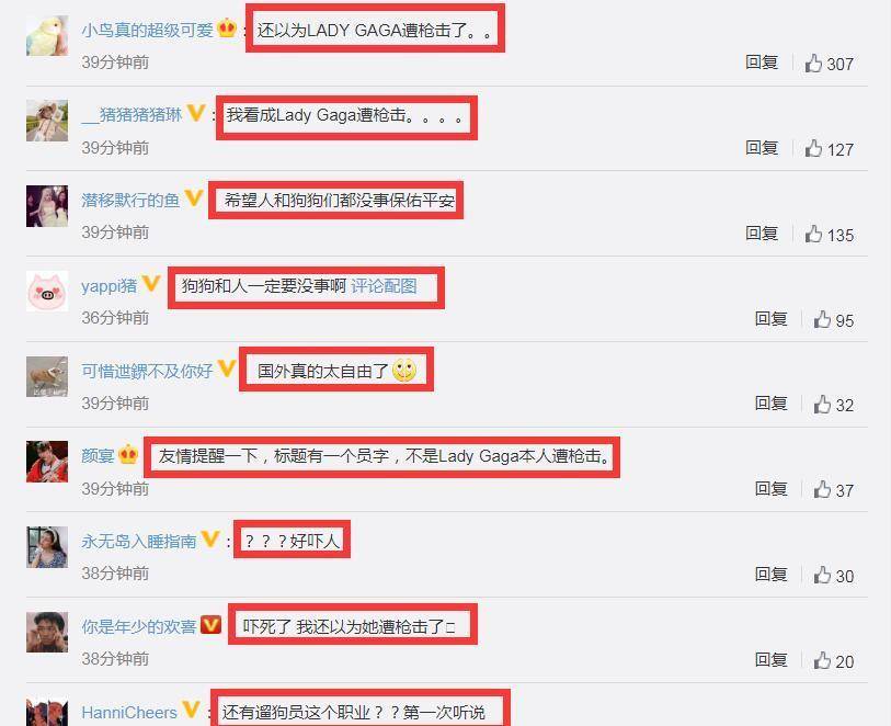 ladygaga遛狗员遭枪击受重伤<strong></p>
<p>动利币兴币网</strong>，2只狗被偷走，她本人愿意300万网民币赎回