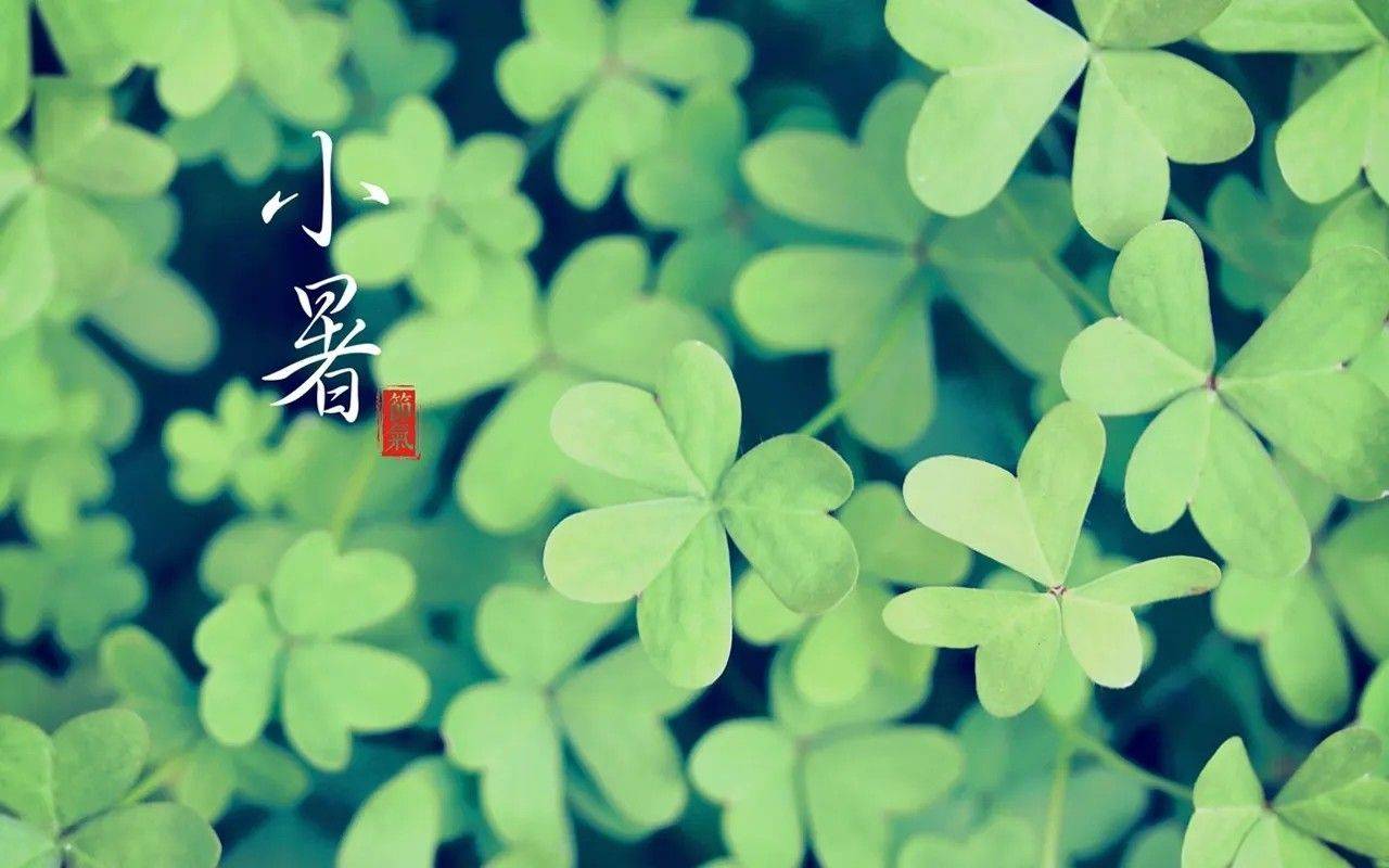 发行有变<strong></p>
<p>法币有几种</strong>，热门新币或月末预约，书法币多人被坑