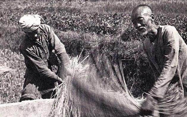 山西老农拿出一张欠条<strong></p>
<p>法币有几种</strong>，跟政府索要1100万法币，最后政府全额奉还