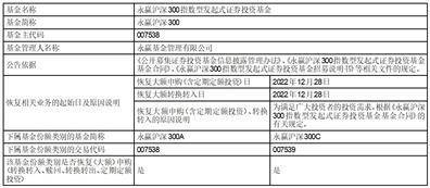 永赢沪深300指数型发起式证券投资基金恢复办理机构投资者大额申购 （含定期定额投资）、转换转入业务的公告