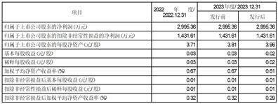 三湘印象股份有限公司 第八届董事会第十三次（临时） 会议决议公告