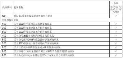 三湘印象股份有限公司 第八届董事会第十三次（临时） 会议决议公告