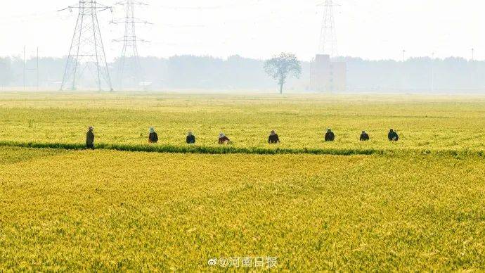 每天3分钟 尽览天下事（笑果被罚超1300万<strong></p>
<p>火币杠杆</strong>，李某某被警方立案调查/骤降11℃！大风+降温+降雨马上到/河南首富进入全国前十）