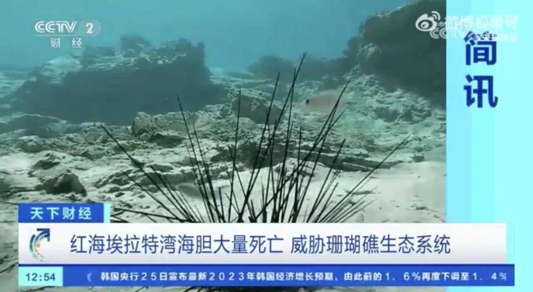 宁波一医院起火<strong></p>
<p>国际最大虚拟币交易</strong>，官方通报；上海迪士尼6月23日起门票调价；美国若债务违约或致连锁反应｜早餐