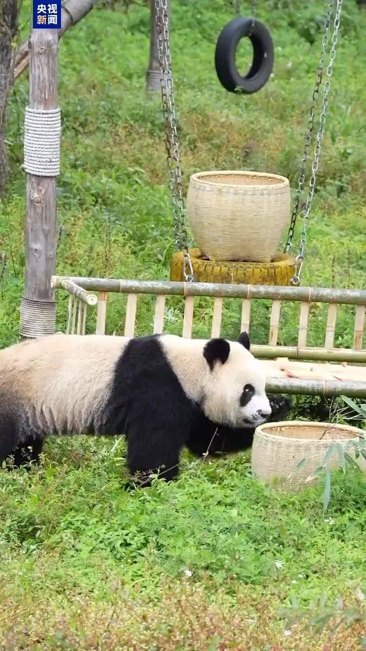 房贷政策最新消息！/ 千万粉丝网红被封号<strong></p>
<p>虚拟币最新消息网</strong>，大批网友跟风被套