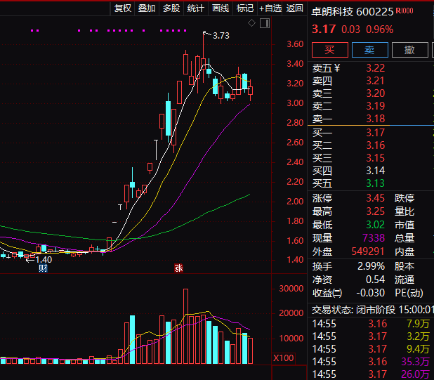 连续5年造假！这只A股<strong></p>
<p>虚拟币 新人指数</strong>，面临强制退市！