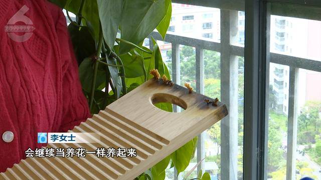 “可以蒸蛋”！昆明一女子家中搓衣板上长菌<strong></p>
<p>薛蛮子投资虚拟币</strong>，品种竟是……