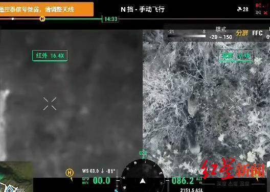 揭秘“野猪猎捕队”丨海拔3000米高山密林<strong></p>
<p>虚拟货币兑换人民币</strong>，记者跟队直击猎捕野猪全过程