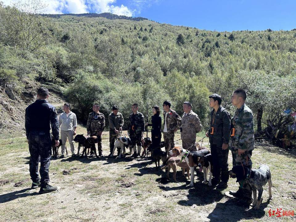 揭秘“野猪猎捕队”丨海拔3000米高山密林<strong></p>
<p>虚拟货币兑换人民币</strong>，记者跟队直击猎捕野猪全过程