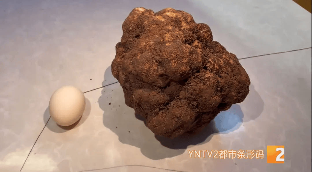 昆明一村民挖到1.7公斤超大松露<strong></p>
<p>虚拟货币兑换人民币</strong>！“看都看不够”