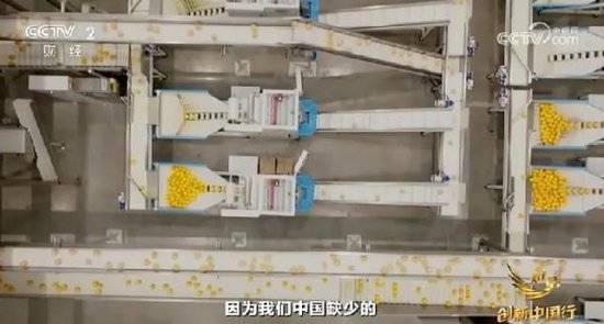 2024年末央视再度专访钟睒睒<strong></p>
<p>虚拟币不能兑换</strong>，背后有何深意？