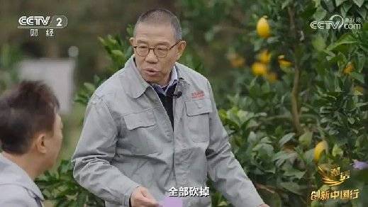 2024年末央视再度专访钟睒睒<strong></p>
<p>虚拟币不能兑换</strong>，背后有何深意？
