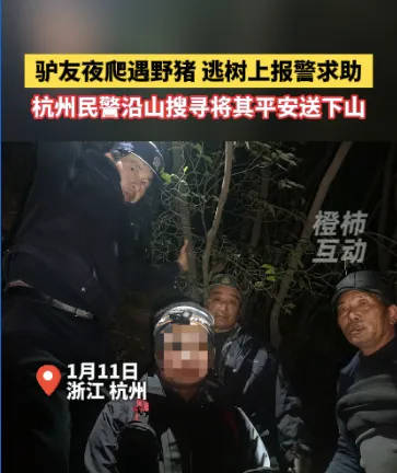 “我现在在树上<strong></p>
<p>农行虚拟卡信用币</strong>，野猪在下面……”杭州一男子深夜报警！