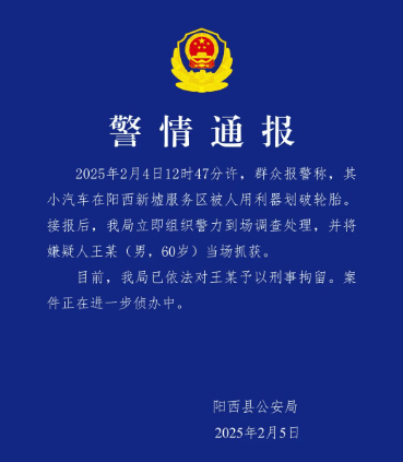 王某（男<strong></p>
<p>2017上市的虚拟币</strong>，60岁），被当场抓获！已刑拘