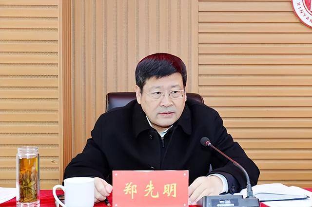 郑先明<strong></p>
<p>新发行虚拟币</strong>，主动投案