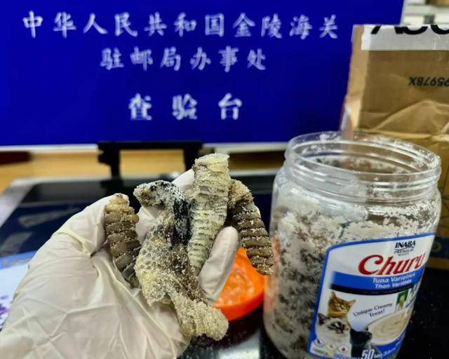 离谱！2.4斤生腌响尾蛇<strong></p>
<p>2017虚拟币大全</strong>，被藏在零食罐里……