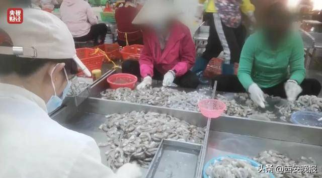 与辉同行或赔2000万<strong></p>
<p>黄金原油喊单</strong>，董宇辉曾称每个月检测费近百万