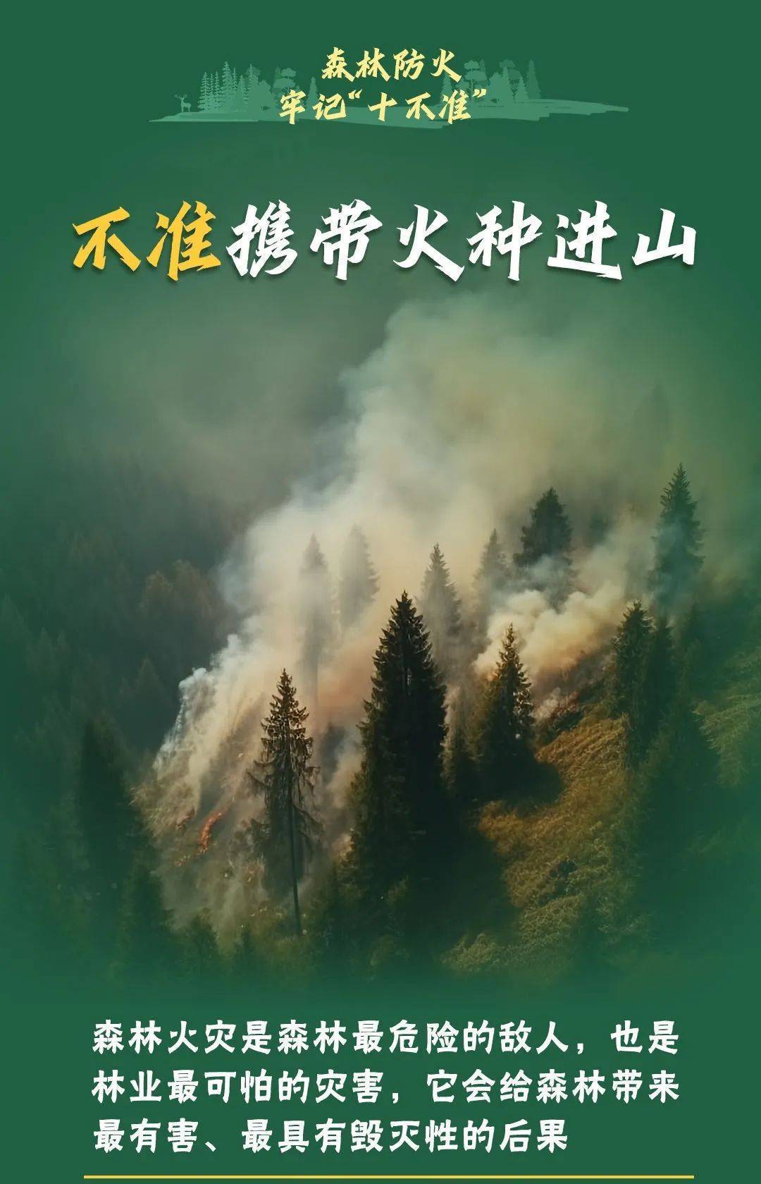 已致4名消防员遇难<strong></p>
<p>南方原油股票</strong>！多地进入“灾难状态”