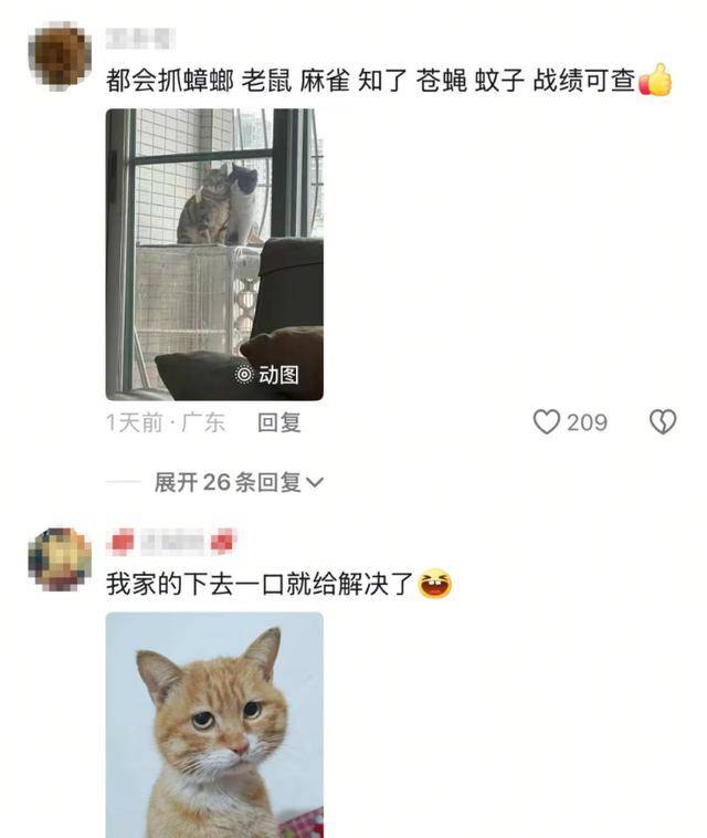 老鼠掉进泳池<strong></p>
<p>wow原油</strong>，广东大叔出动鸡猫狗团队，结果全被老鼠吓跑！网友坐不住纷纷晒战绩