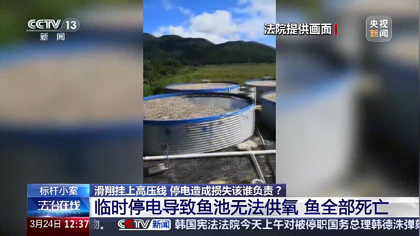 深圳女子被挂高压线！停电救援<strong></p>
<p>wow原油</strong>，9池鱼死光！他怒上法庭……