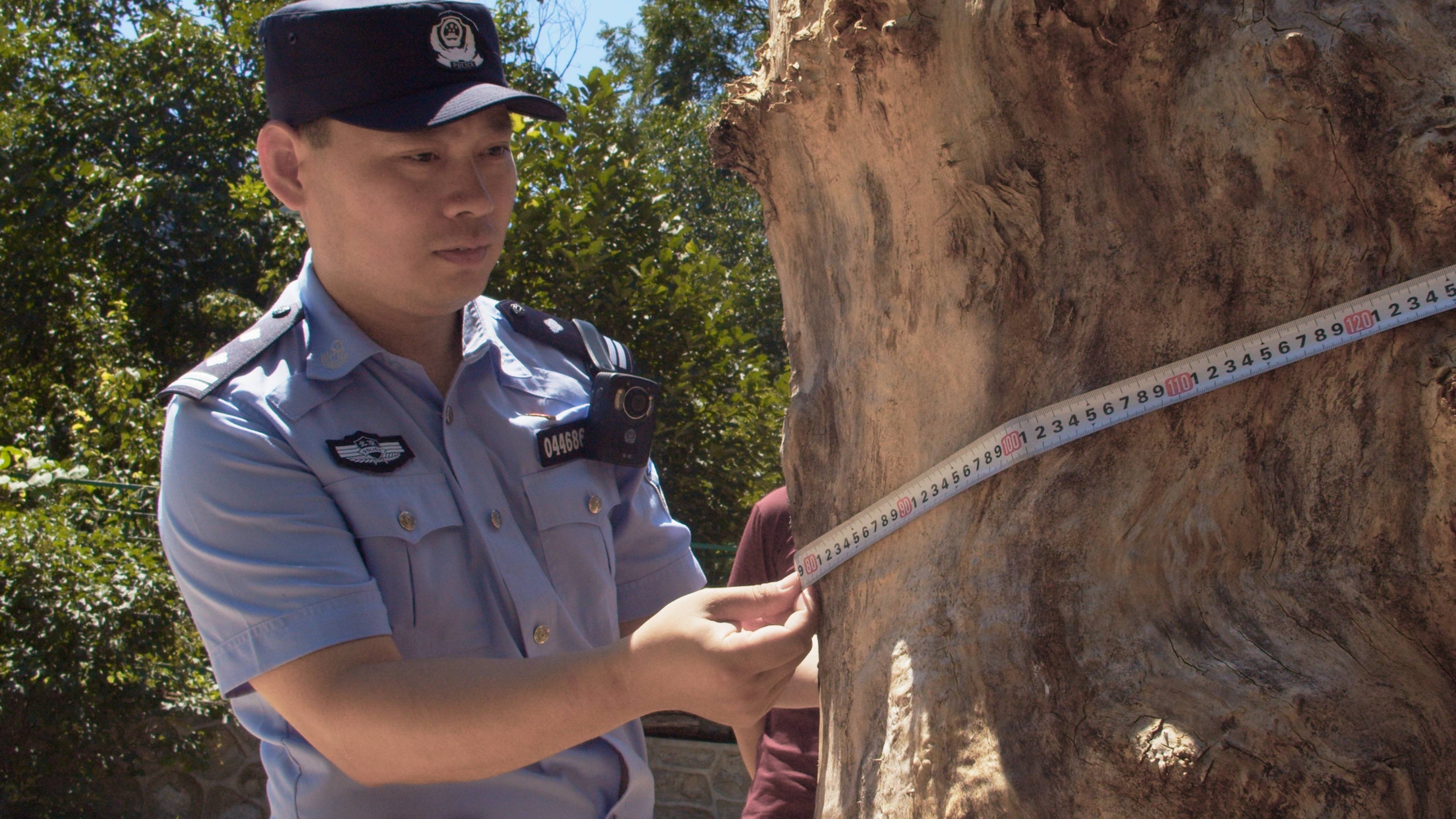 森林警察韩孟祺：乔装成驴友潜伏密林中<strong></p>
<p>原油分析师</strong>，抓获“粘鸟”嫌疑人