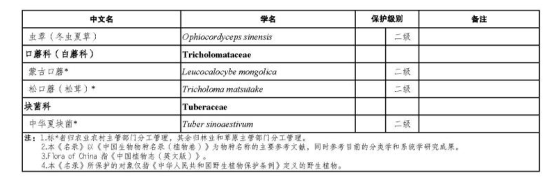 价值18万余元！男子在祁连山非法收购5632根冬虫夏草<strong></p>
<p>喷原油</strong>，构成危害国家重点保护植物罪获刑