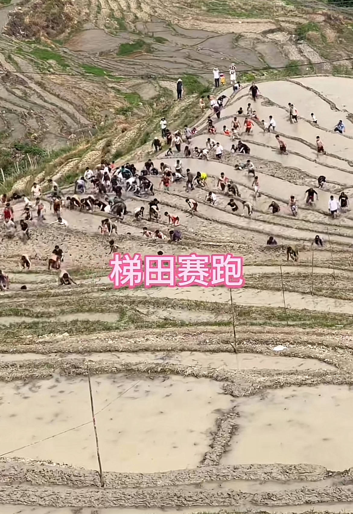 桂林一景区回应爬梯田比赛前两名半坡起跑作弊：游客赛前试爬后躺半坡<strong></p>
<p>美原油走势行情</strong>，工作人员没发现