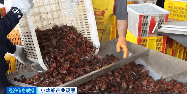 价格暴跌近50%<strong></p>
<p>原油余</strong>！“接下来还会降”！青岛正大量上市……