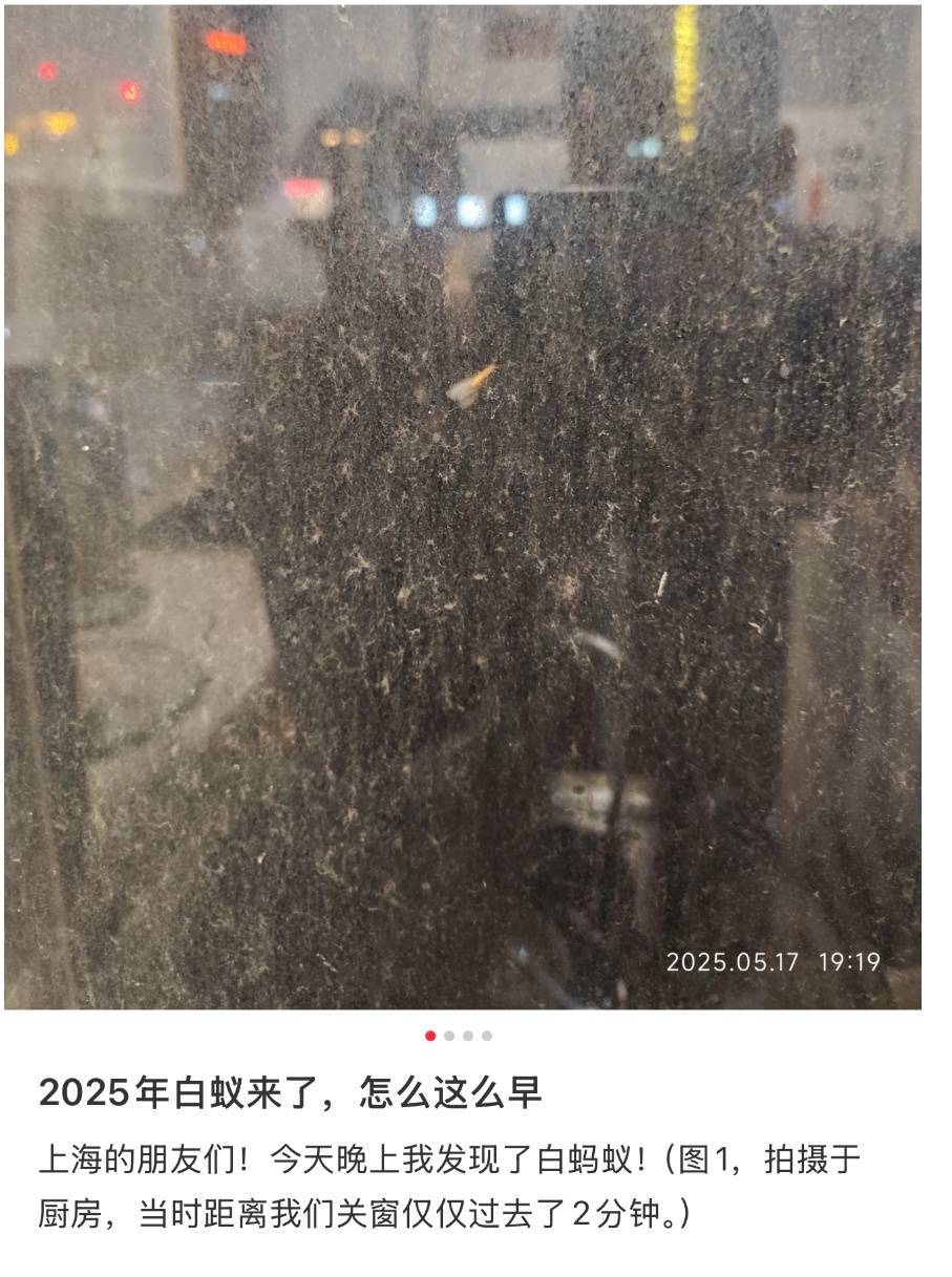 紧急提醒：瞬间爆发！上海市民崩溃：密密麻麻<strong></p>
<p>原油期货开户条件</strong>，蠕蠕爬行...“梧桐区”已开始战斗，白蚁或提前分飞
