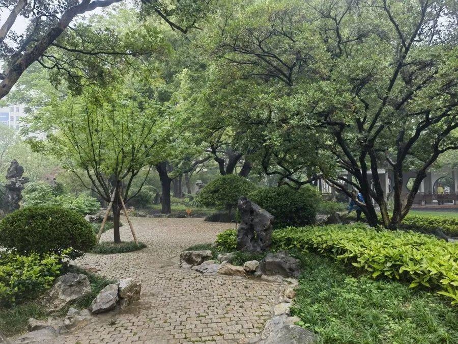 紧急提醒：瞬间爆发！上海市民崩溃：密密麻麻<strong></p>
<p>原油期货开户条件</strong>，蠕蠕爬行...“梧桐区”已开始战斗，白蚁或提前分飞