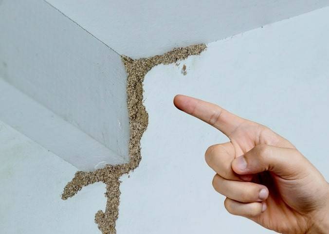 紧急提醒：瞬间爆发！上海市民崩溃：密密麻麻<strong></p>
<p>原油期货开户条件</strong>，蠕蠕爬行...“梧桐区”已开始战斗，白蚁或提前分飞