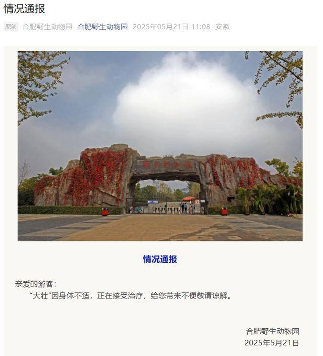 网红猴“大壮”突然离世<strong></p>
<p>轻质原油期货</strong>！曾因方脸“丑”出圈