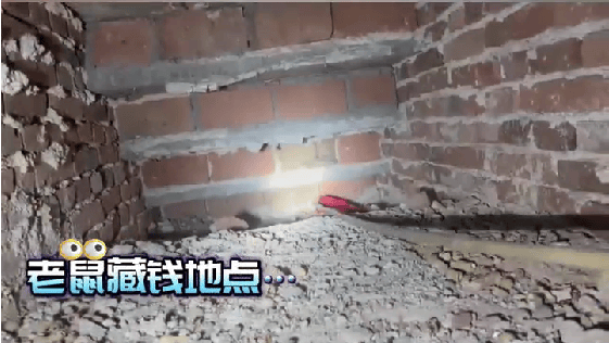 老人用红袜子包裹一万元现金藏在门框上<strong></p>
<p>国际原油期货交易</strong>，一天后不翼而飞，警方破案：偷钱的是老鼠