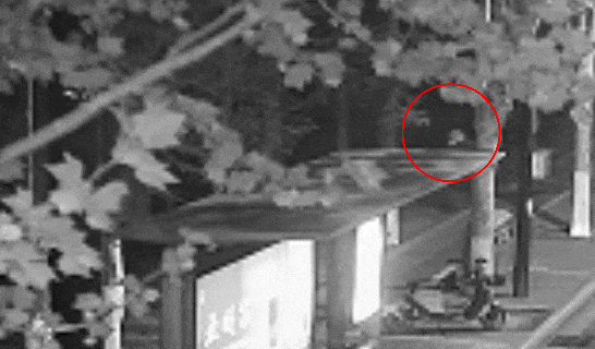 江苏一男子戴仿真“人皮”面具入室盗窃<strong></p>
<p>mt4原油</strong>，流窜多个小区作案，涉案金额达15万余元