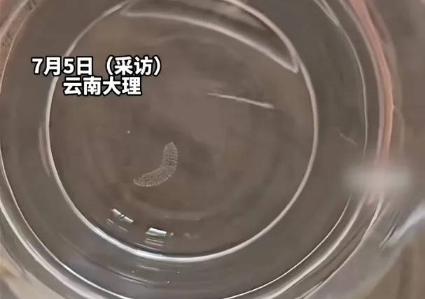 女子喝了隔夜水里的蚊子卵<strong></p>
<p>现货原油交易平台</strong>！专家：没事