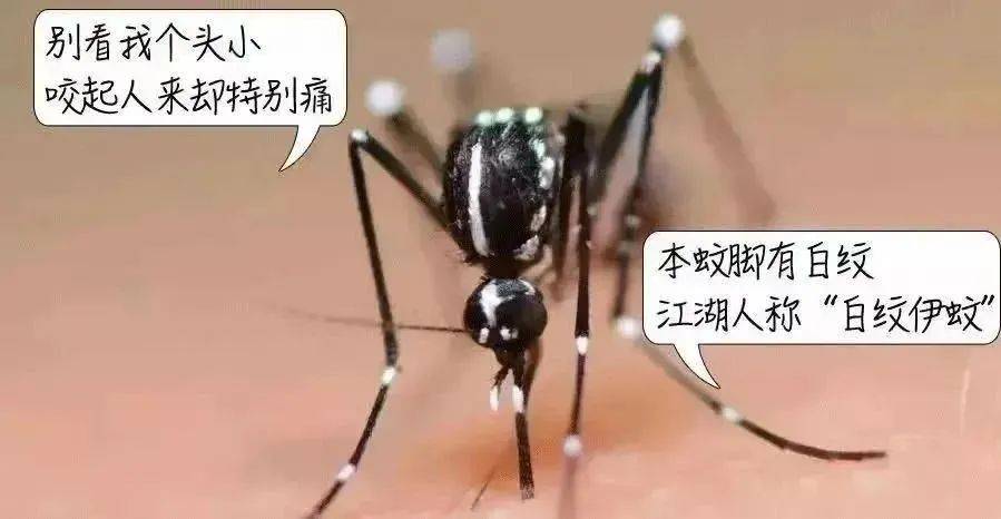 风险增大<strong></p>
<p>正规原油交易</strong>！深圳疾控：去这247处要小心！张文宏首次发声