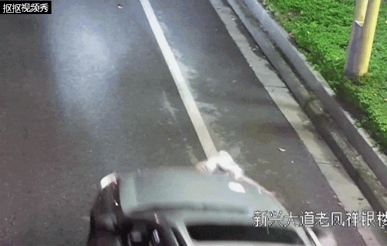 行人在斑马线上被SUV撞倒卷入车底<strong></p>
<p>原油2014</strong>，司机：我以为他们会让我……