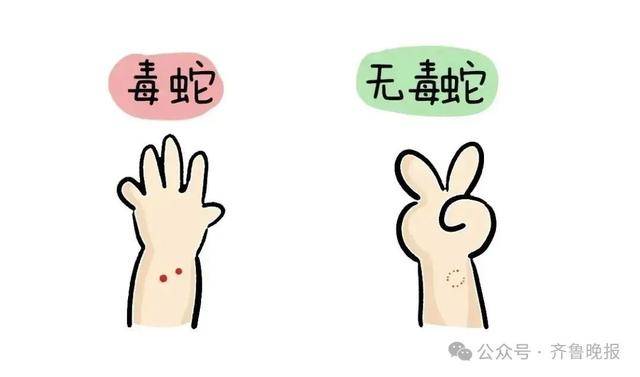 安徽宣城一男子走路玩手机<strong></p>
<p>今日原油价格查询</strong>，一脚踩中打架的竹叶青和五步蛇，被俩毒蛇咬3口！医院：暂无生命危险，正在治疗